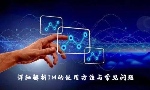 详细解析IM的使用方法与常见问题